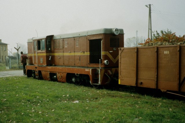 Wierzchosawice, padziernik 1996, foto Geoff Jenkins